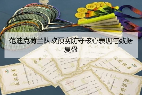 范迪克荷兰队欧预赛防守核心表现与数据复盘